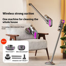 Multifunctional Handheld Mites Instrument Vacuum Cleaner