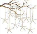 20 PCS Christmas Starfish Hanging Ornaments