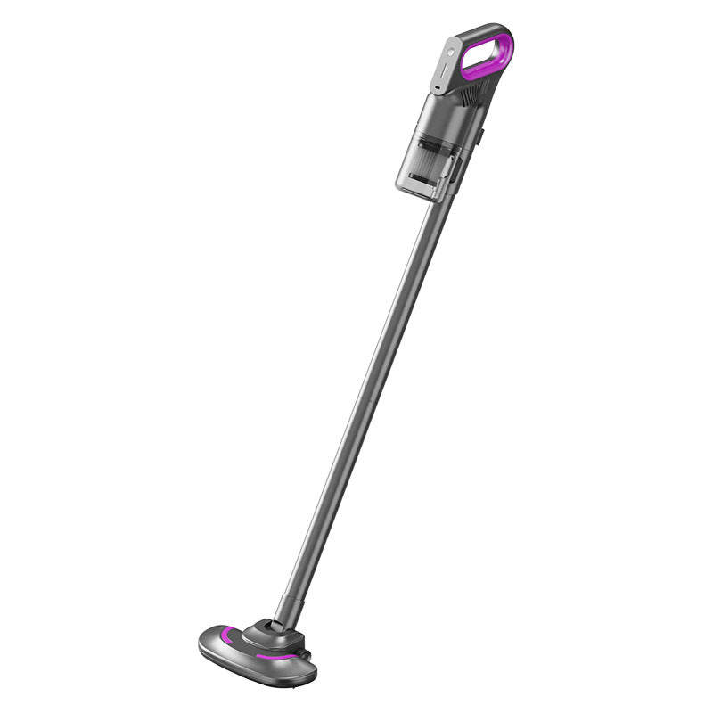 Multifunctional Handheld Mites Instrument Vacuum Cleaner