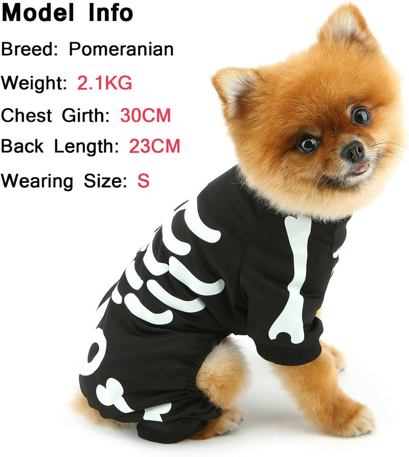 Halloween Dog Costumes For Small Dog